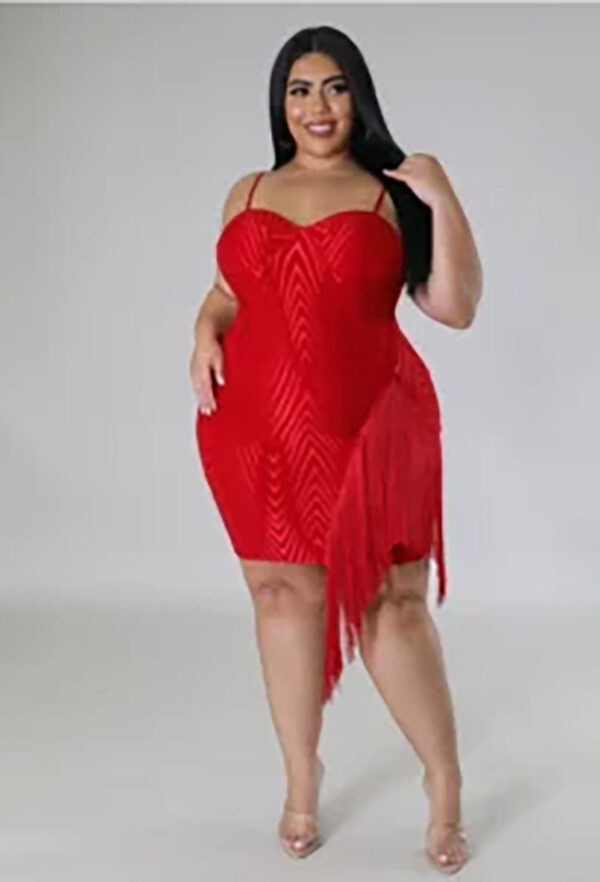 Luxie Lush Plus Size Tassel Party Dress